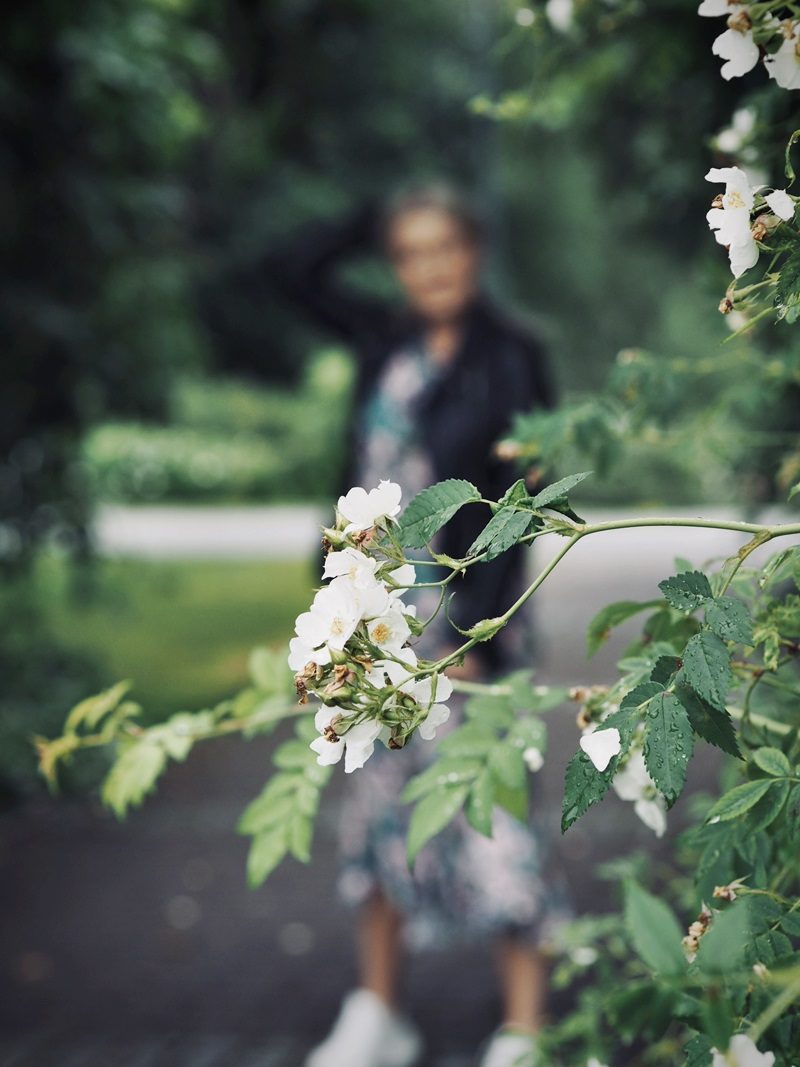 hatanpään arboretum